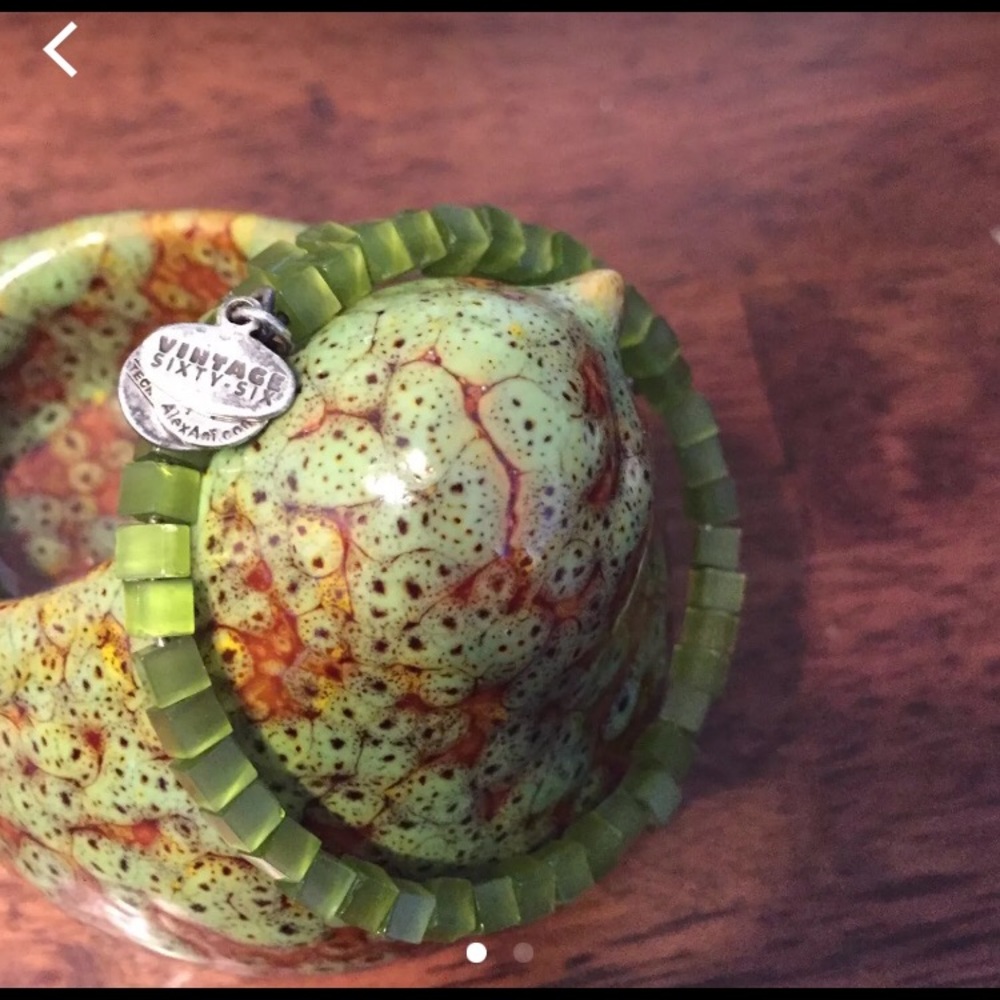 Alex And Ani Wrap Bracelet